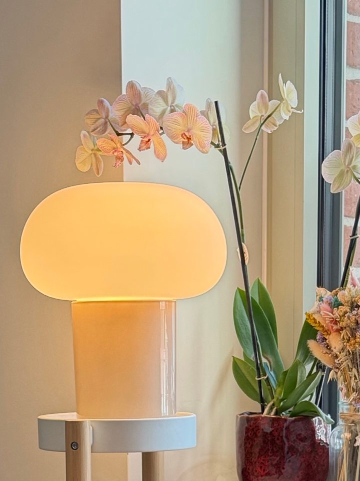 A glowing mushroom lamp beside a pale pink orchid and dried flowers at a sunlit window